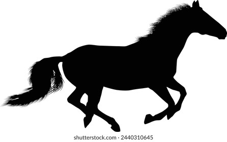 Horse silhouette illustration in vector
