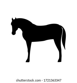 Horse silhouette isolated on white background.