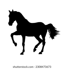 Horse silhouette isolated on white background. vector illustration