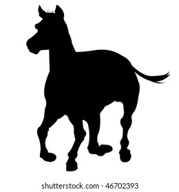 horse silhouette isolated on white background, abstract art illustration