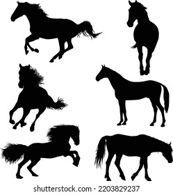 Horse Silhouette in many pose 