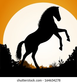 Horse. Horse silhouette on a background of dawn. Vector illustration. 