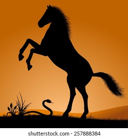 Horse. Horse silhouette on a background of dawn. Vector illustration. 