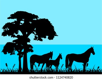 Horse silhouette on beautiful background. Vector illustration.