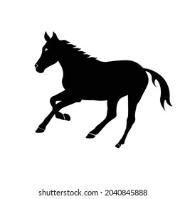 Horse Silhouette on isolated background. Vector drawing