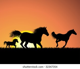 Horse silhouette on sunset background. Vector illustration.