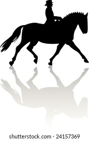 Horse silhouette on white background