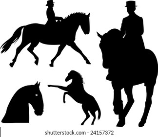 Horse silhouette on white background