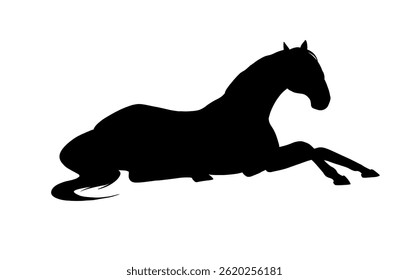 horse silhouette on white background, horse in different poses, hand drawn, black silhouette, horse lying down