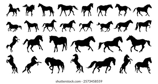 horse silhouette set. horse different poses isolated farm animal silhouette icon vector collection. Vector illustration