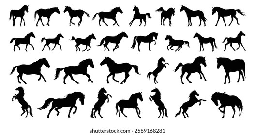 horse silhouette set. horse different poses isolated farm animal silhouette icon vector collection. Vector illustration