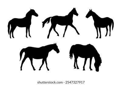 Horse silhouette suitable for graphic design element, logo, or illustration.