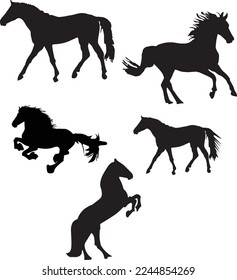 Horse Silhouette -Svg Bundle.Beautiful horse vector design.