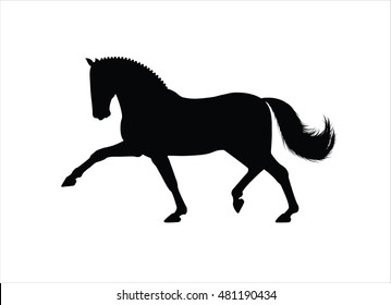Horse silhouette trotting. Dressage horse