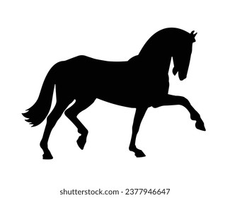 Horse Silhouette. Horse Vector Illustration.