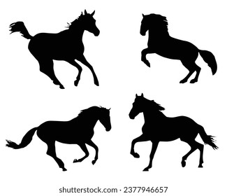 Horse Silhouette. Horse Vector Illustration.