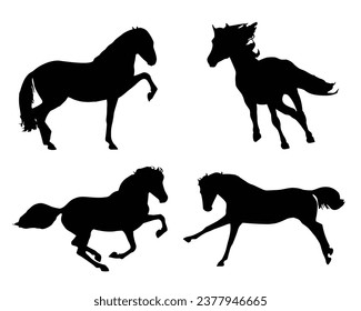 Horse Silhouette. Horse Vector Illustration.