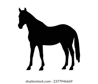 Silhouette de Caballo. Ilustración del vector de caballo.