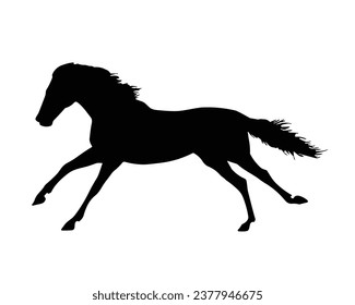 Horse Silhouette. Horse Vector Illustration.