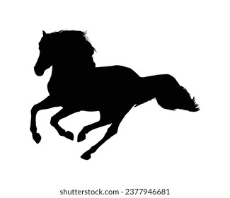 Horse Silhouette. Horse Vector Illustration.