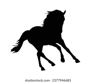 Horse Silhouette. Horse Vector Illustration.