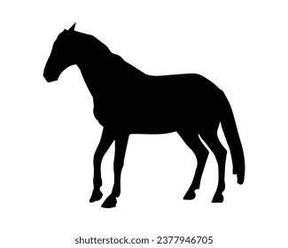 Horse Silhouette. Horse Vector Illustration.
