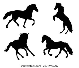 Horse Silhouette. Horse Vector Illustration.