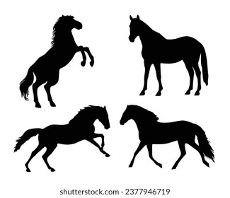 Horse Silhouette. Horse Vector Illustration.