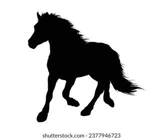 Horse Silhouette. Horse Vector Illustration.