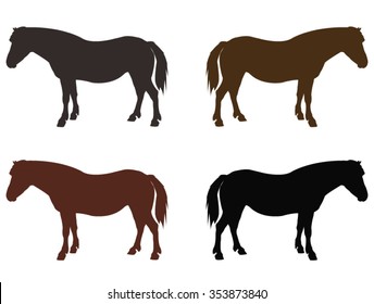 Horse silhouette, vector illustration