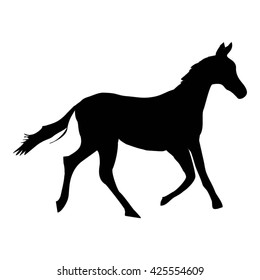 horse silhouette - vector illustration