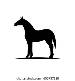horse silhouette vector illustration. horse flat style
