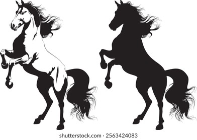 Horse silhouette vector illustration image