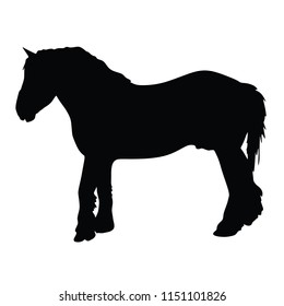 Horse silhouette, vector illustration , horse race