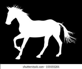 Horse silhouette, vector illustration , horse race, white horse isolated on black background . 