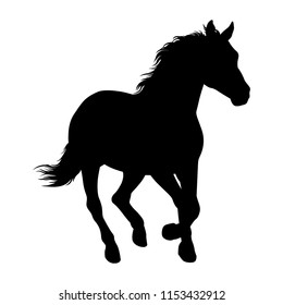 Horse Silhouette Vector Illustration. Wild Horse Racing