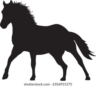 Horse silhouette, horse vector on a white back ground 