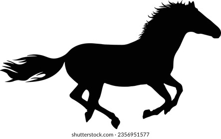 Horse silhouette, horse vector on a white back ground 
