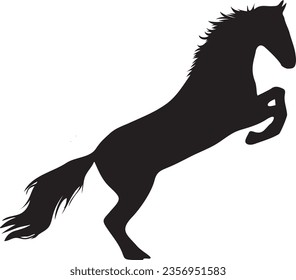 Horse silhouette, horse vector on a white back ground 