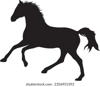 Horse silhouette, horse vector on a white back ground 