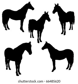 horse silhouettes