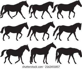 Horse silhouettes collection isolated on white background