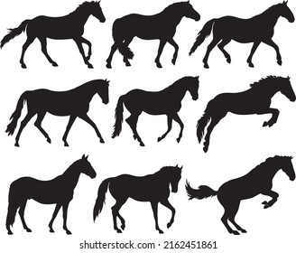 Horse silhouettes collection isolated on white background