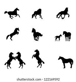 Horse silhouettes isolated on white