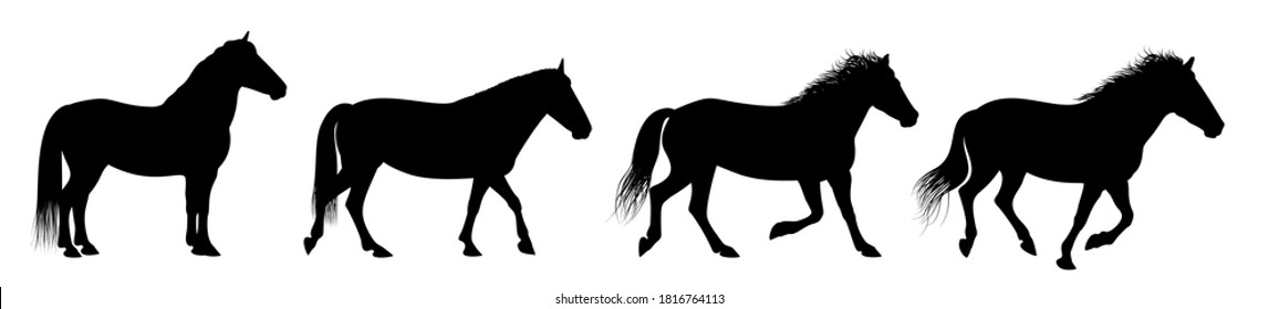 The horse silhouettes are isolated on the white background.