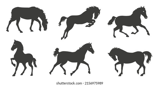 horse silhouettes on the white background volume 1