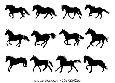 horse silhouettes on white background