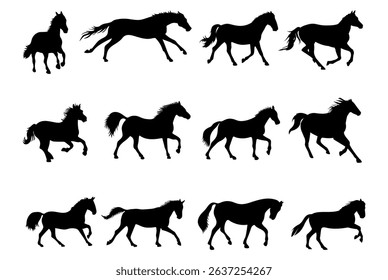 horse silhouettes on white background