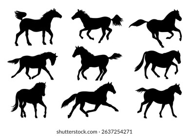 horse silhouettes on white background