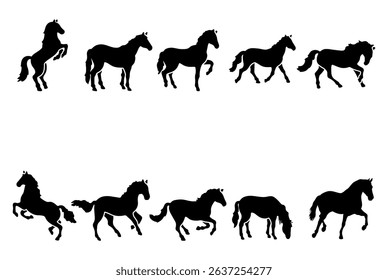 horse silhouettes on white background